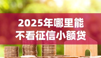 2025年哪里能不看征信小额贷款？整合5个贷款多好借款的平台