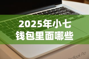 2025年小七钱包里面哪些好下款？整合5个网贷容易下款18岁的软件