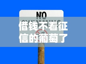 借钱不看征信的葡萄了？这几个平台你可能没尝过