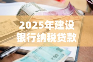 2025年建设银行纳税贷款通不过？梳理五个利息低的借钱平台