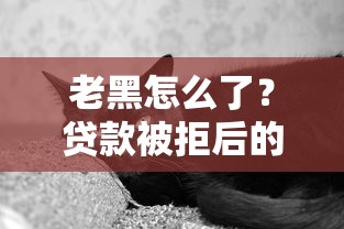 老黑怎么了？贷款被拒后的三个补救方法，这些细节别忽略！
