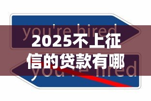 2025不上征信的贷款有哪些？这5类平台可以试试