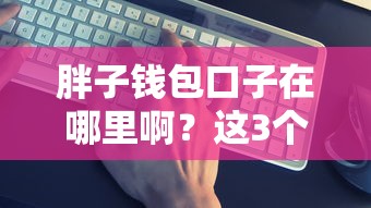 胖子钱包口子在哪里啊？这3个方法帮你找到靠谱渠道