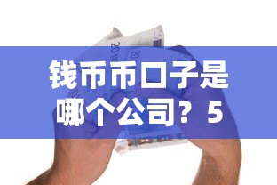 钱币币口子是哪个公司？5大正规贷款平台解析