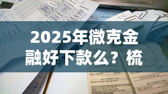 2025年微克金融好下款么？梳理五个网贷保单贷最好的平台