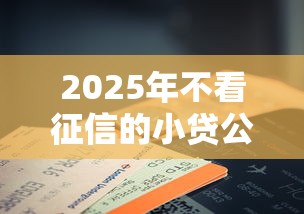 2025年不看征信的小贷公司平台：整合5个逾期可以贷款的平台