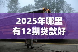 2025年哪里有12期贷款好下款？看看这5个车抵押贷款平台好