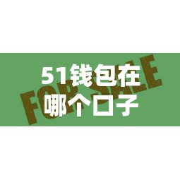 51钱包在哪个口子有？这5个正规平台审核快、额度高