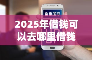 2025年借钱可以去哪里借钱呢，公布五个夜间秒下款的14天口子