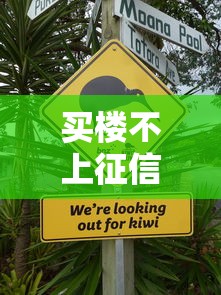 买楼不上征信会怎么样？这3个隐藏风险你必须知道