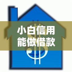 小白信用能做借款的口子有哪些？这些平台门槛低又好批