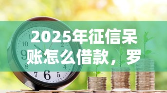 2025年征信呆账怎么借款，罗列5个黑户也能借款的平台