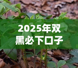 2025年目前网上哪些贷款好下款：分享5个黑户借钱0门槛极速下款平台
