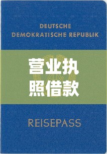 营业执照借款平台口子app哪个靠谱？这5个平台审核快、额度高