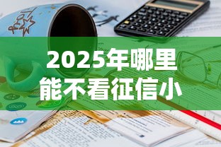 2025年哪里能不看征信小贷：罗列五个好用的借钱平台