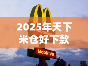 2025年天下米仓好下款吗：看看这5个黑贷款平台