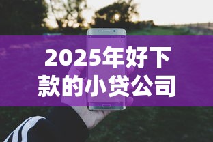 2025年好下款的小贷公司有哪些，整合五个无视逾期大数据花户黑户口子