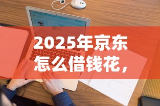 2025年京东怎么借钱花，看看这五个浙江车贷网平台
