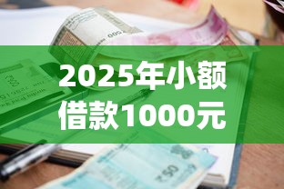 2025年小额借款1000元app，罗列五个上海贷款平台