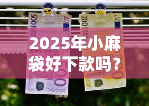2025年小麻袋好下款吗？推荐五个找贷款平台