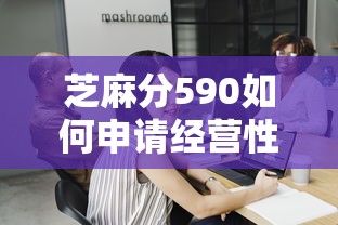 芝麻分590如何申请经营性贷款？这3个技巧帮你解决资金难题