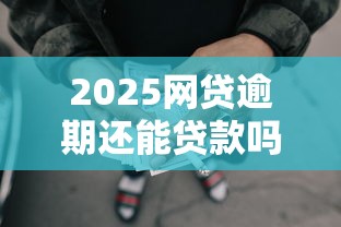 2025网贷逾期还能贷款吗？这3招或许能帮你