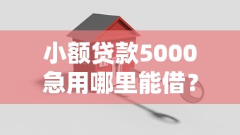 小额贷款5000急用哪里能借？这5个平台真实测评