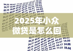 2025年小众微贷是怎么回事？整合5个借款平台贷款快