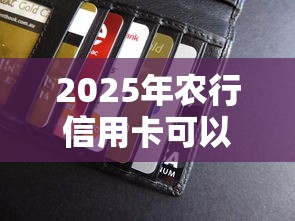 2025年农行信用卡可以借钱吗？罗列五个银行贷款平台