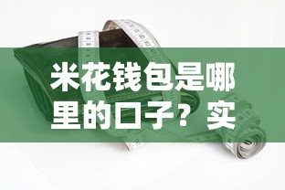 米花钱包是哪里的口子？实测3个关键信息帮你避坑