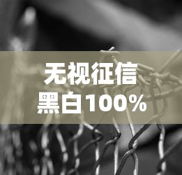 无视征信黑白100%秒下网贷时间长？这些细节你必须知道