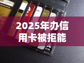 2025年办信用卡被拒能贷款吗：分享5个贷款服务平台