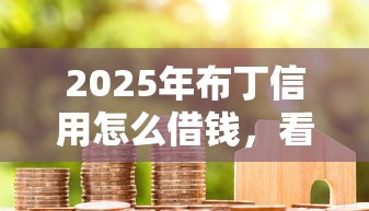 2025年布丁信用怎么借钱，看看这5个征信黑了借款平台可以借钱应急