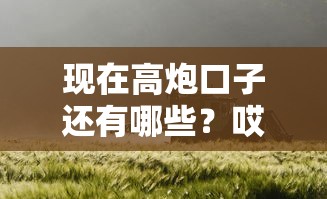 现在高炮口子还有哪些？哎，老哥们注意了！
