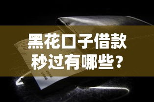 黑花口子借款秒过有哪些？这些细节要注意