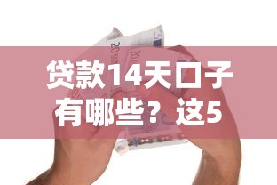 贷款14天口子有哪些？这5个平台放款快、门槛低！