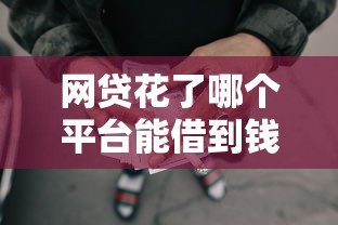 网贷花了哪个平台能借到钱？这5家正规渠道靠谱又省心