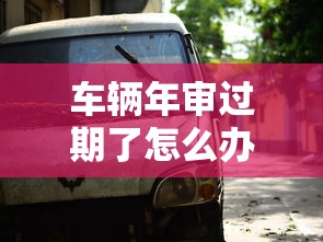 车辆年审过期了怎么办？3步处理+贷款方案全解析