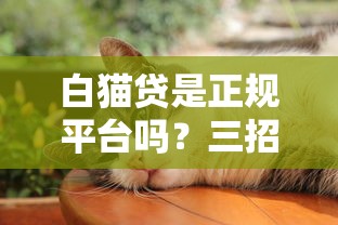 白猫贷是正规平台吗？三招教你识别网贷平台安全性