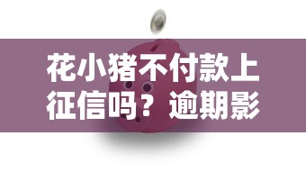 花小猪不付款上征信吗？逾期影响贷款吗？实测解答