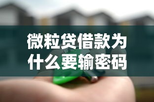 微粒贷借款为什么要输密码？3个关键点解释清楚