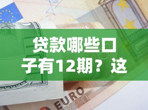 贷款哪些口子有12期？这5家平台分期方案全解析