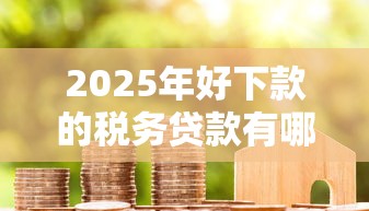 2025年好下款的税务贷款有哪些，分享五个不查流水的小额度贷款软件