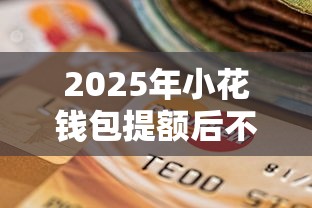 2025年小花钱包提额后不下款？罗列五个贷款不上诚信平台的平台