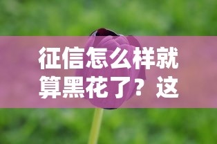 征信怎么样就算黑花了？这几种情况千万别碰！