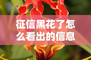 征信黑花了怎么看出的信息？这3个细节藏不住了！