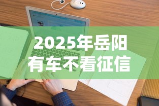 2025年岳阳有车不看征信的贷款，看看这5个贷款平台靠谱