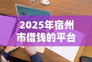 2025年宿州市借钱的平台，看看这5个征信花了还可以借钱的平台