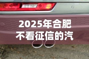 2025年合肥不看征信的汽车贷款，梳理5个和摇钱花一样的平台