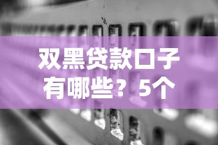 双黑贷款口子有哪些？5个真实可用渠道避坑指南